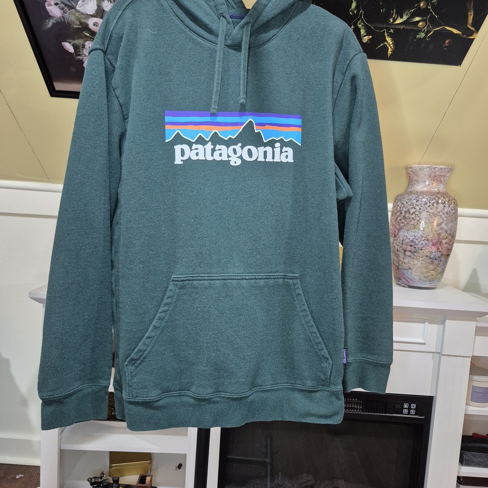 Patagonia Green Men's Hoodie  806/2241